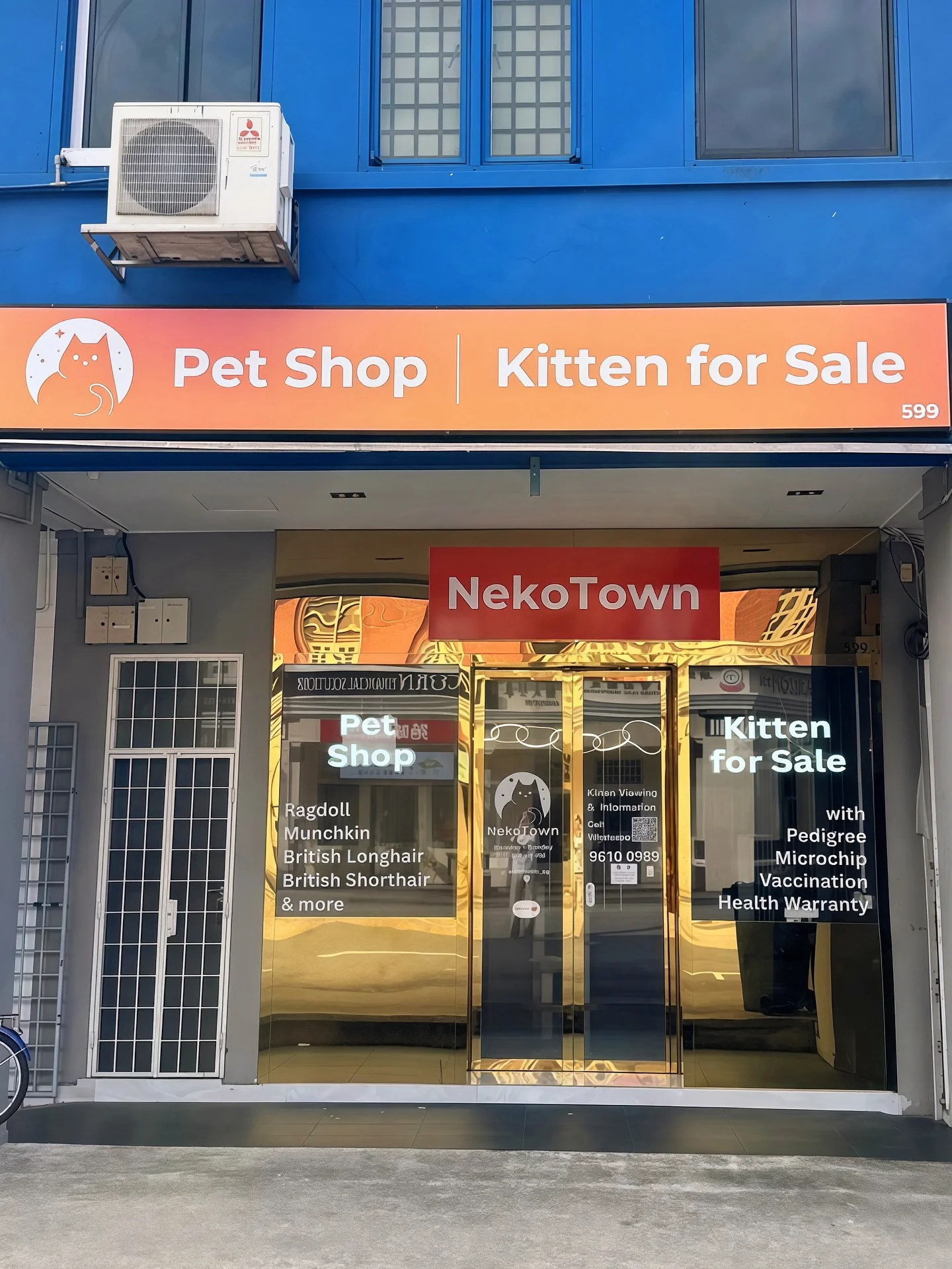 Trusted Cat Cattery in Singapore Since 2019