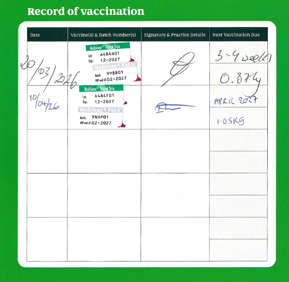 Vaccination - Waffle.png