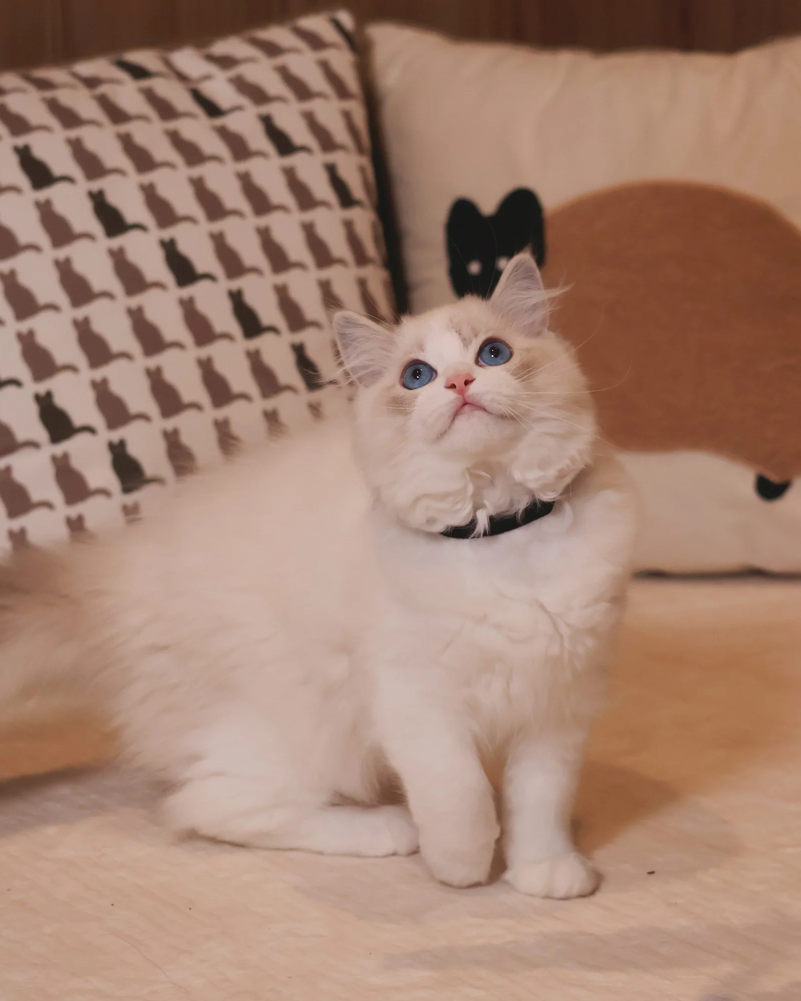 Juno
