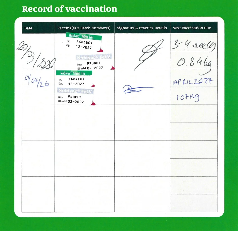 Vaccination - Whippy.png