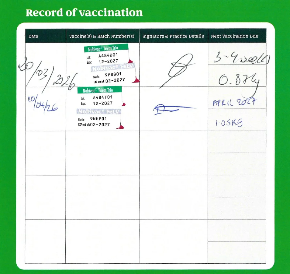 Vaccination - Wasabi.png
