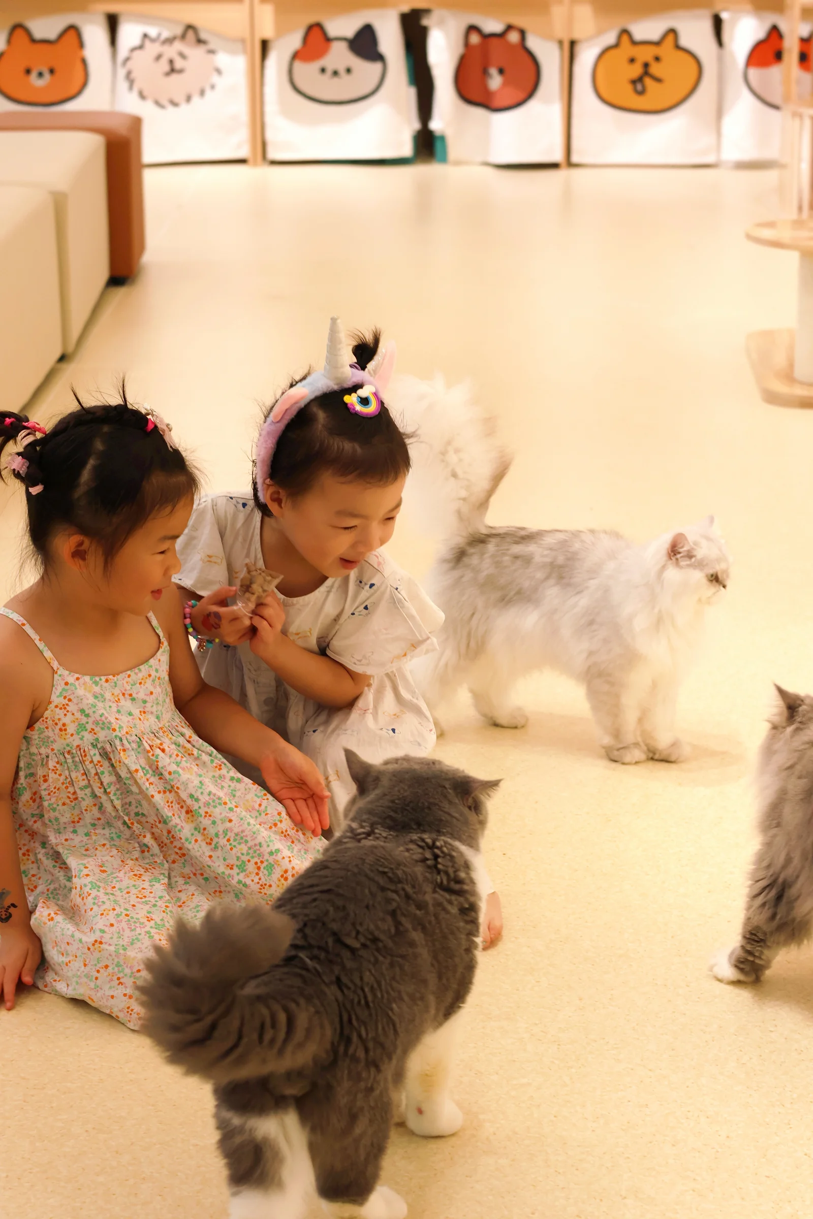 A family-friendly cat cafe where everyone is welcome