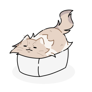 cat in a box resting in a cat cafe