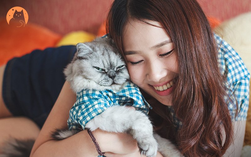 Visitor cuddling with a cat in a cat cafe