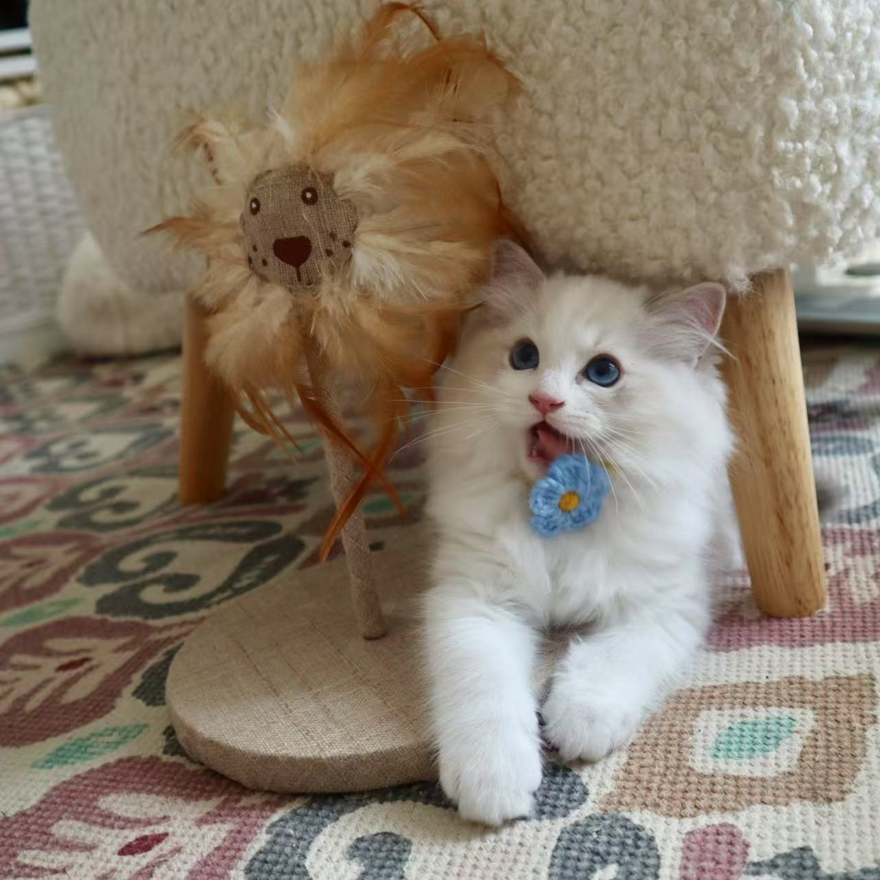 7db576f1b0367e5bcd0d4f6705e21b2d