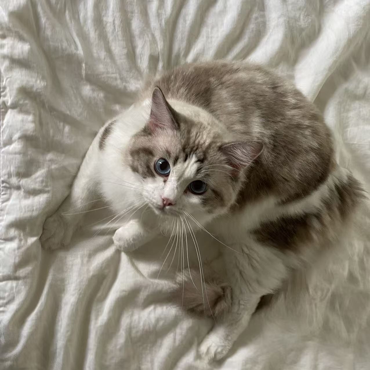 图片_20251110155539_278_57