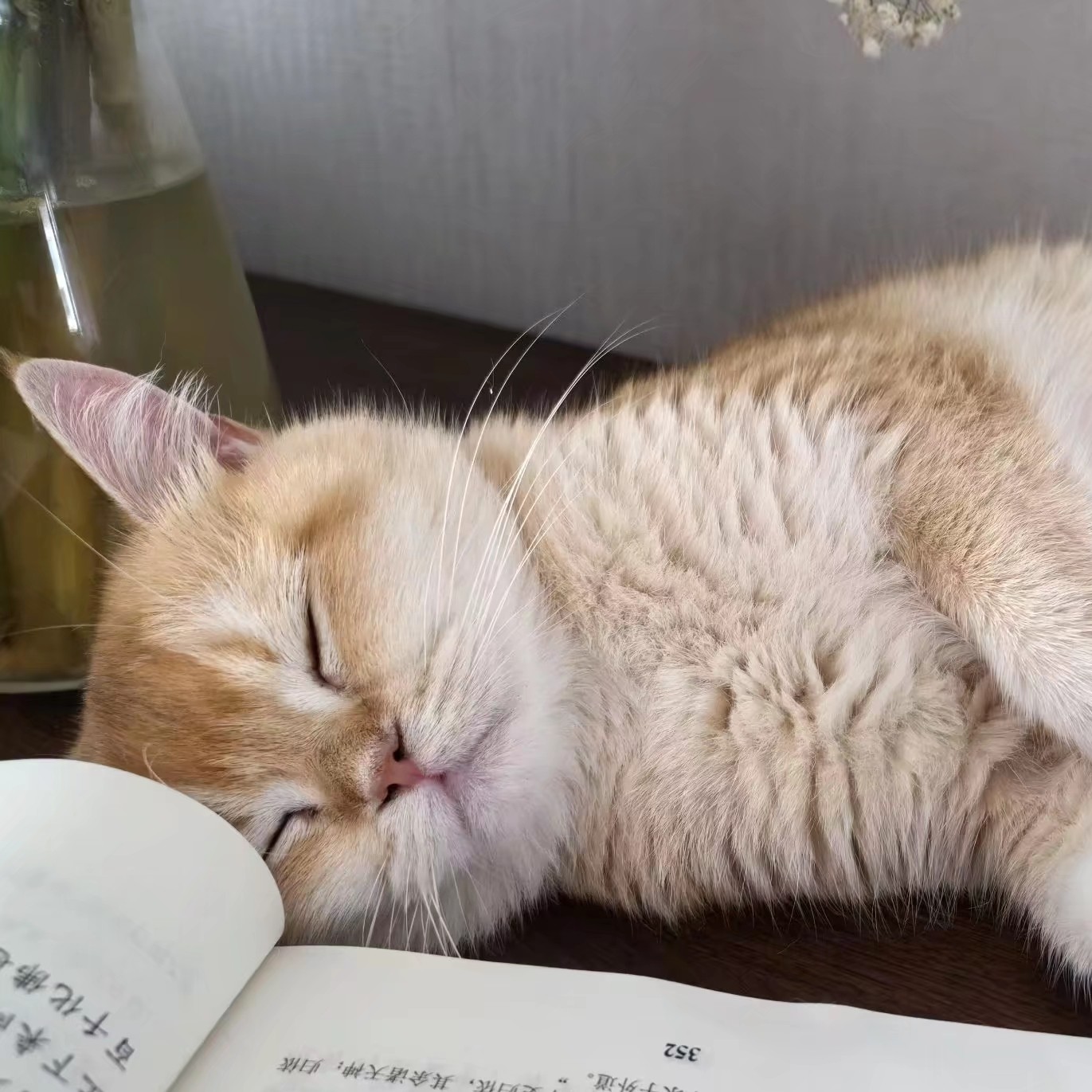 图片_20251110162653_275_511